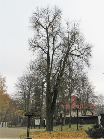 Jinan ve Slezské Ostravě Jinan ve Slezské Ostravě